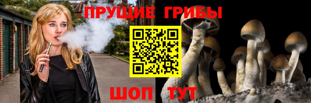 Псилоцибиновые грибы GOLDEN TEACHER  Псилоцибиновые грибы Magic Shrooms  купить закладку  Чита  Вход с VPN 